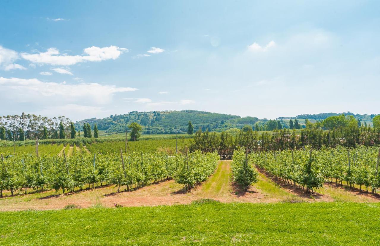 Farm stay Monte Da Varzea Da Rainha *